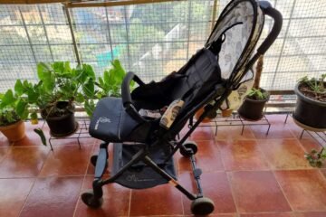 R4Rabbit Stroller